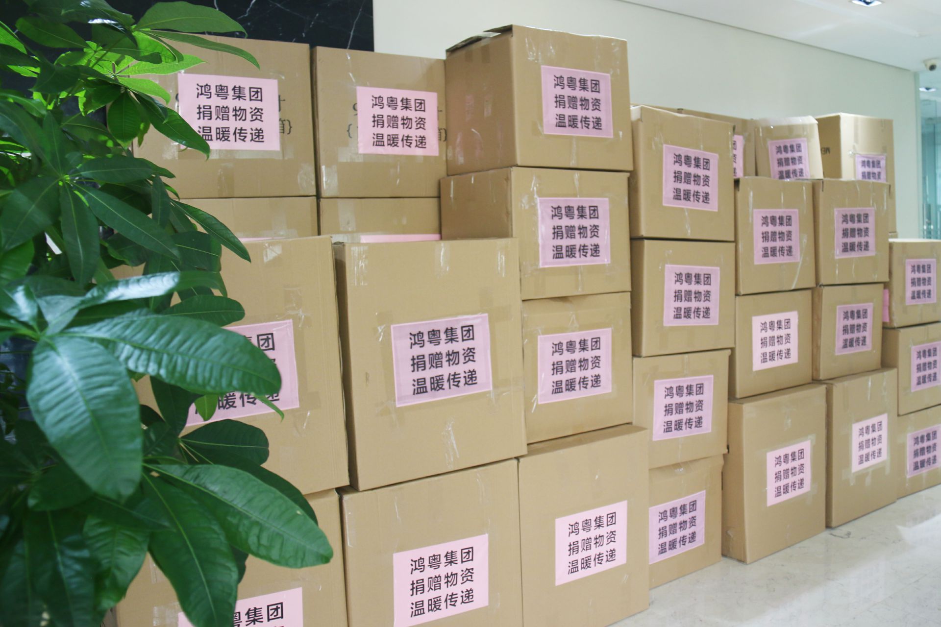 开云手机站·官方端网页版登录入口-开云(中国)公益回顾丨家国同欢月同圆 温暖满载甘孜州(图1)
